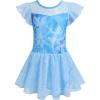 Ice Snow Blue