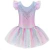 Zaclotre Kid Girls Ruffle Sleeve Ballet Skirted Leotard Shiny Dance Tutu Dresses(Shiny Rainbow)