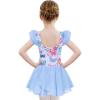 Zaclotre Girls Ruffle Sleeve Ballet Leotards with Shiny Skirts Crisscross Back Dance Outfits Toddler Tutu Dress(Butterfly)