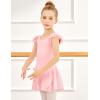 Zaclotre 3 Pack Girls Ballet Skirts Dance Skirt Chiffon Wrap for Toddler/Kids/Little Girl Dancewear(Ballet Pink)