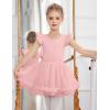 Zaclotre Girls Ballet Leotards Toddler Ruffle Sleeve Crisscross Back Tutu Dance Dress Outfit with Removable Skirt Combo(Ballet Pink)