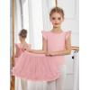Zaclotre Girls Ballet Leotards Toddler Ruffle Sleeve Crisscross Back Tutu Dance Dress Outfit with Removable Skirt Combo(Ballet Pink)