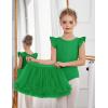 Zaclotre Girls Ballet Leotards Toddler Ruffle Sleeve Crisscross Back Tutu Dance Dress Outfit with Removable Skirt Combo(Green)