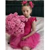 Zaclotre Girls Ballet Leotards Toddler Ruffle Sleeve Crisscross Back Tutu Dance Dress Outfit with Removable Skirt Combo(Hot Pink)
