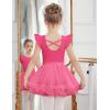 Zaclotre Girls Ballet Leotards Toddler Ruffle Sleeve Crisscross Back Tutu Dance Dress Outfit with Removable Skirt Combo(Hot Pink)