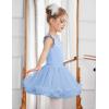 Zaclotre Girls Ballet Leotards Toddler Ruffle Sleeve Crisscross Back Tutu Dance Dress Outfit with Removable Skirt Combo(Light Blue)
