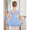 Zaclotre Girls Ballet Leotards Toddler Ruffle Sleeve Crisscross Back Tutu Dance Dress Outfit with Removable Skirt Combo(Light Blue)