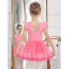 Zaclotre Girls Ballet Leotards Toddler Ruffle Sleeve Crisscross Back Tutu Dance Dress Outfit with Removable Skirt Combo(Pink)