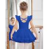 Zaclotre Girls Ballet Leotards Toddler Ruffle Sleeve Crisscross Back Tutu Dance Dress Outfit with Removable Skirt Combo(Royal Blue)