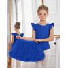 Zaclotre Girls Ballet Leotards Toddler Ruffle Sleeve Crisscross Back Tutu Dance Dress Outfit with Removable Skirt Combo(Royal Blue)